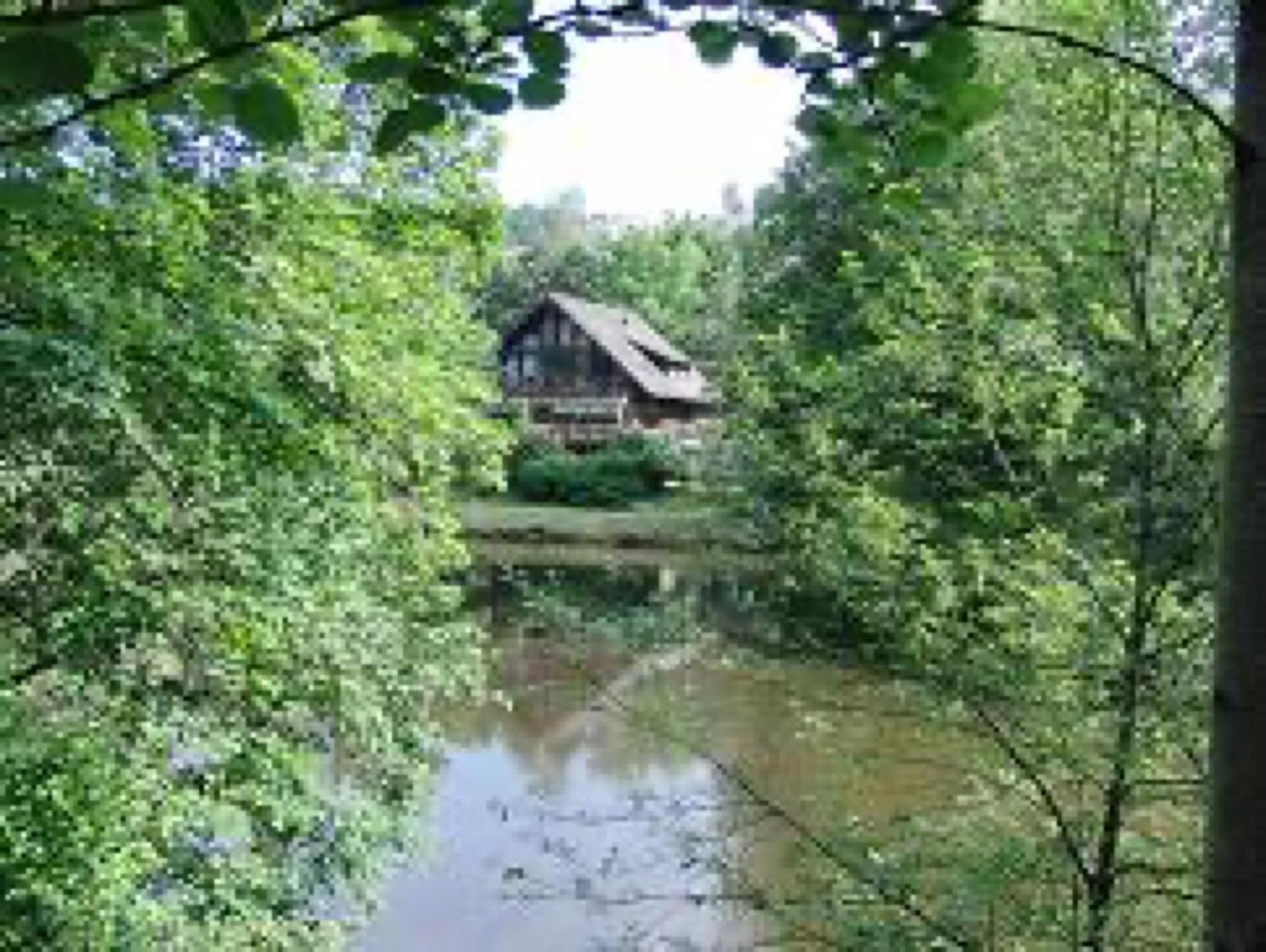 Ferienwohnungen Seeblick Unterkirnach Exterior foto