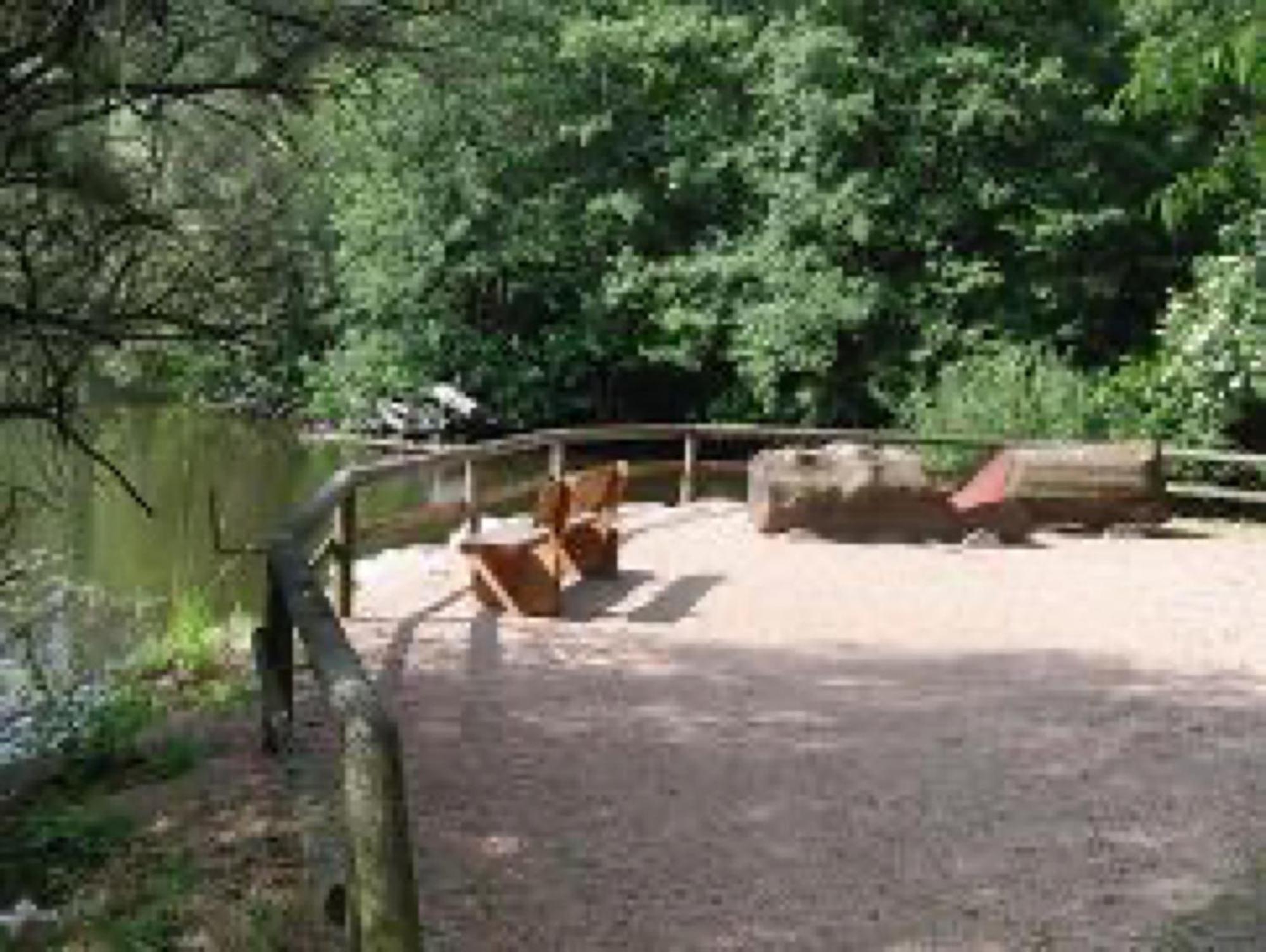 Ferienwohnungen Seeblick Unterkirnach Exterior foto